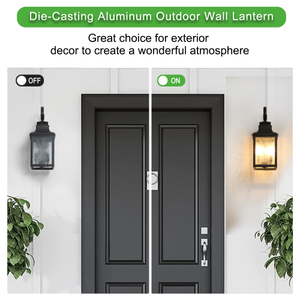 Glass wall lantern bulb view