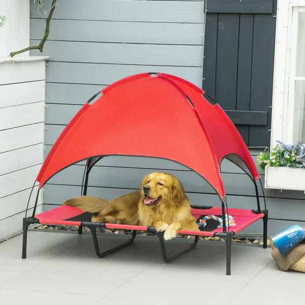 Pet accessories collection – elevated cooling dog cot bed