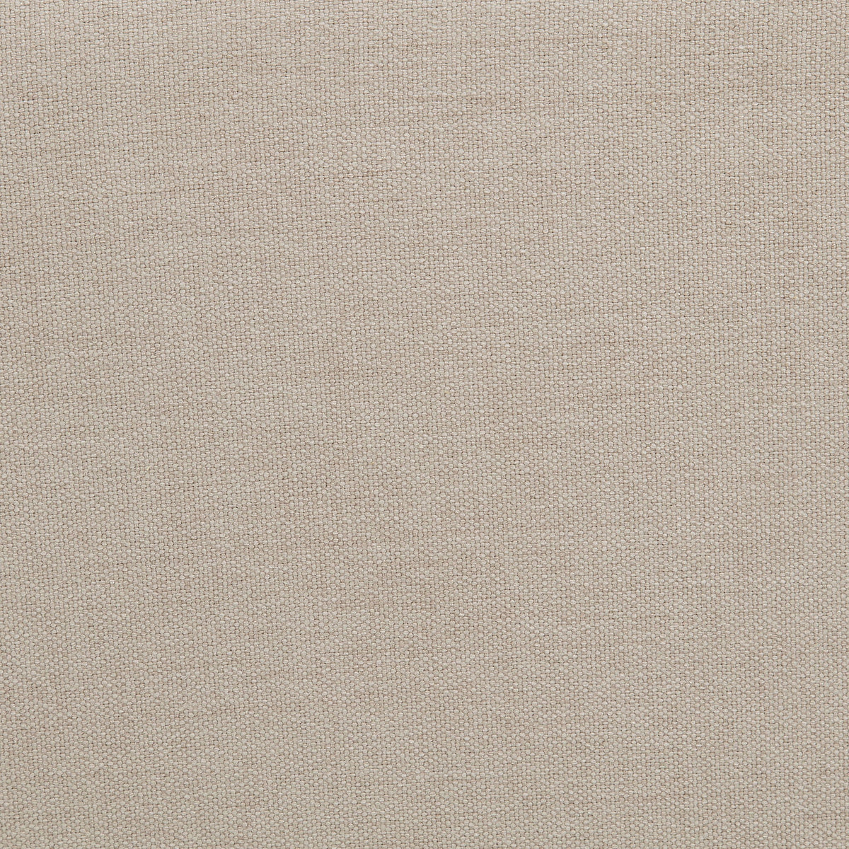 Marsha 52-inch Upholstered Entryway Accent Bench Latte